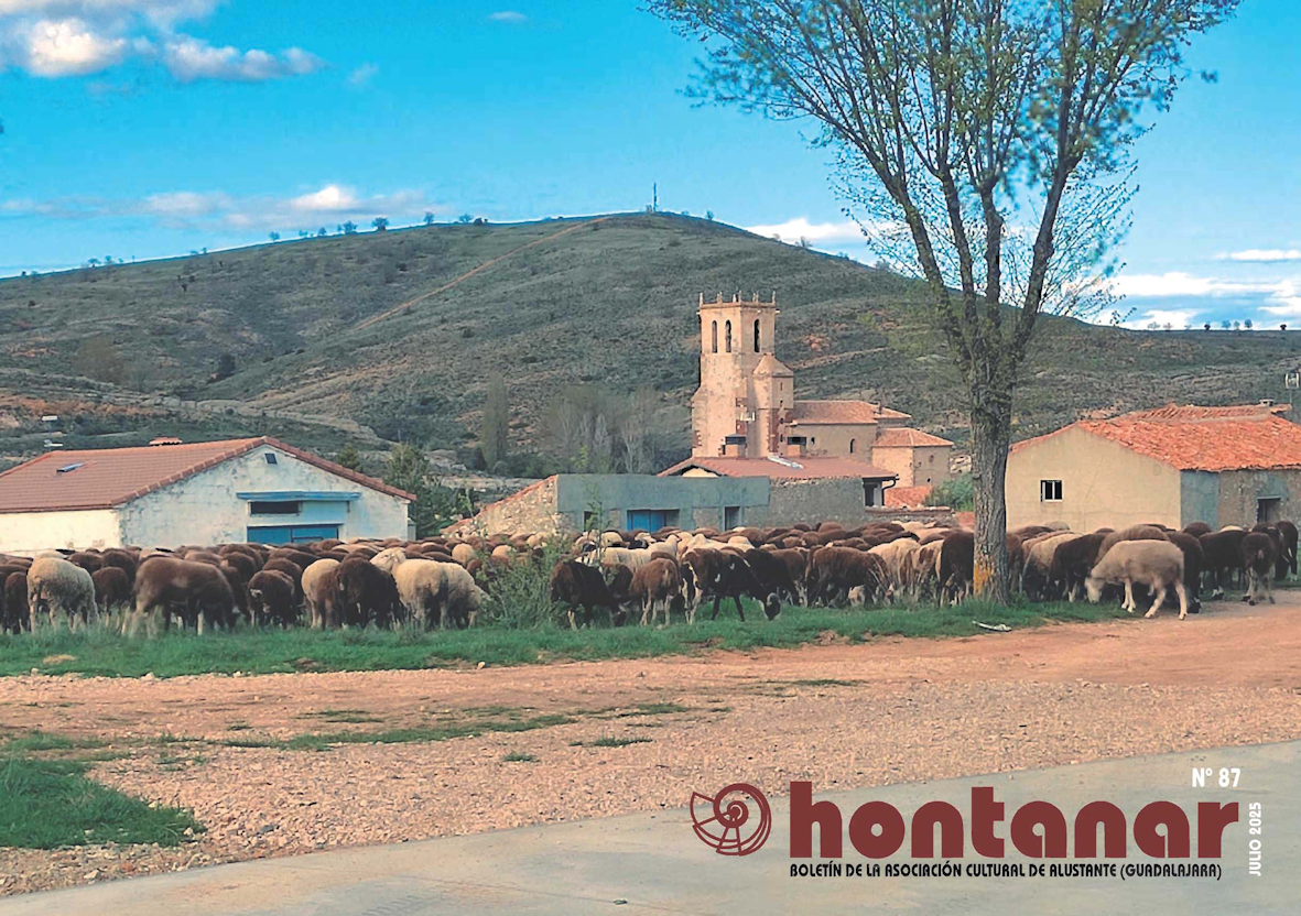 Revista Hontanar n 87